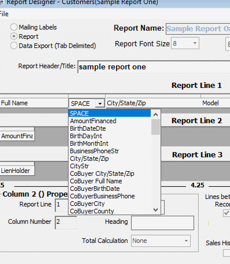 customreportdropdownfieldmenu